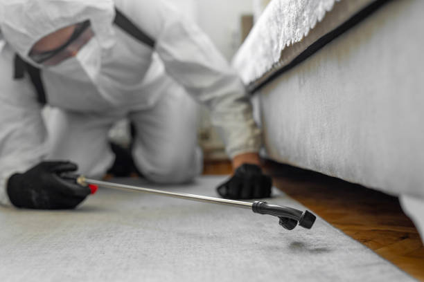 Professional Termite Control technician working in Williamsport, IN