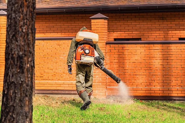 Trusted Cockroach Control service in Williamsport, IN - Nex Pest Control